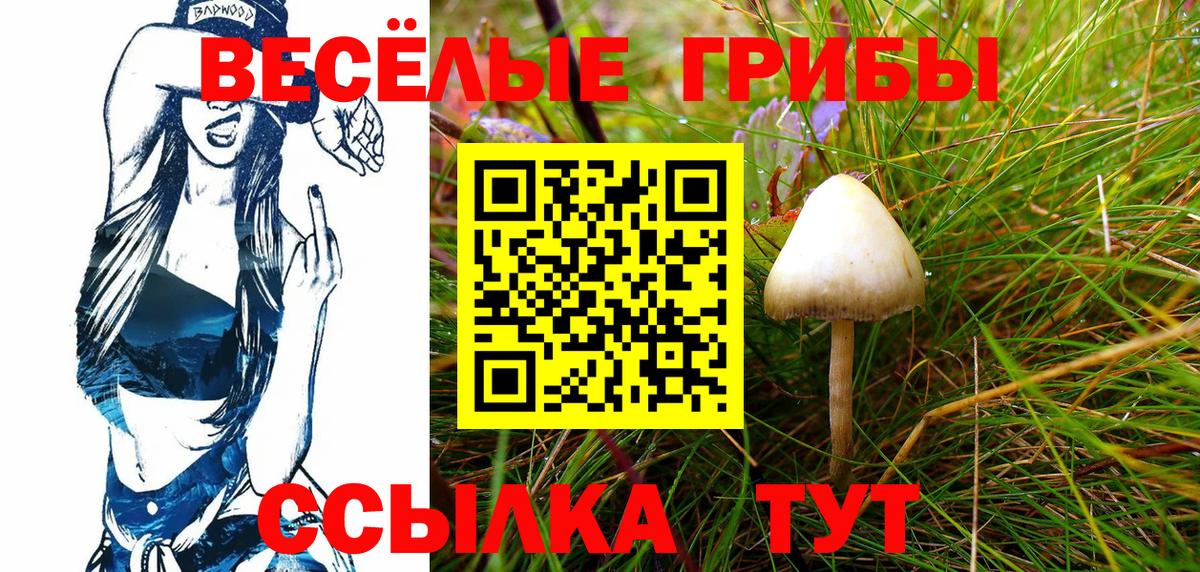 Галлюциногенные грибы ЛСД  Галлюциногенные грибы мухоморы  Можга  Вход с VPN 