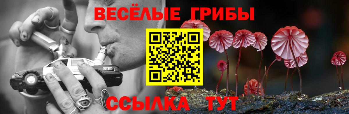 Галлюциногенные грибы MAGIC MUSHROOMS Можга